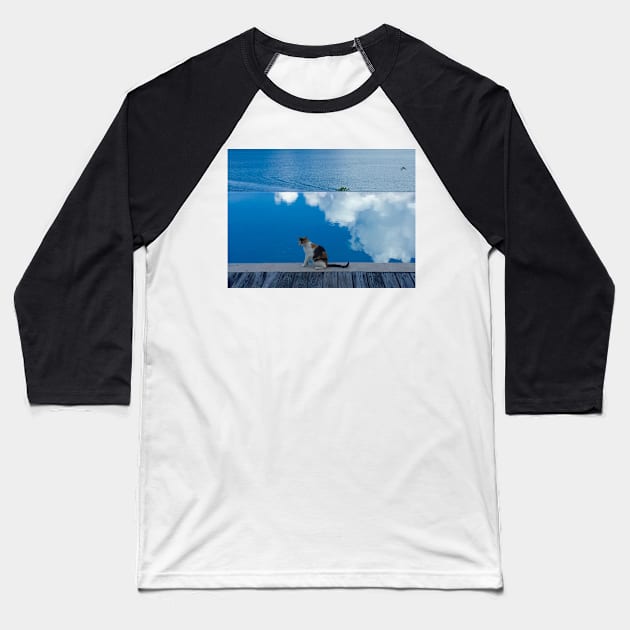 Cat on Blue in Antigua Baseball T-Shirt by ephotocard